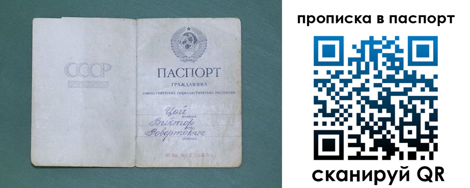 пропишу в квартире в Боровичах